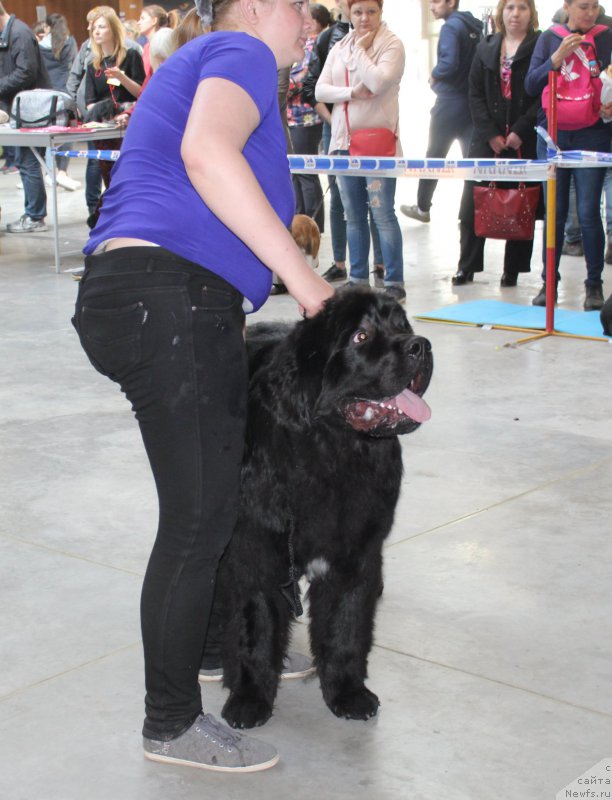 Фотография № 223760