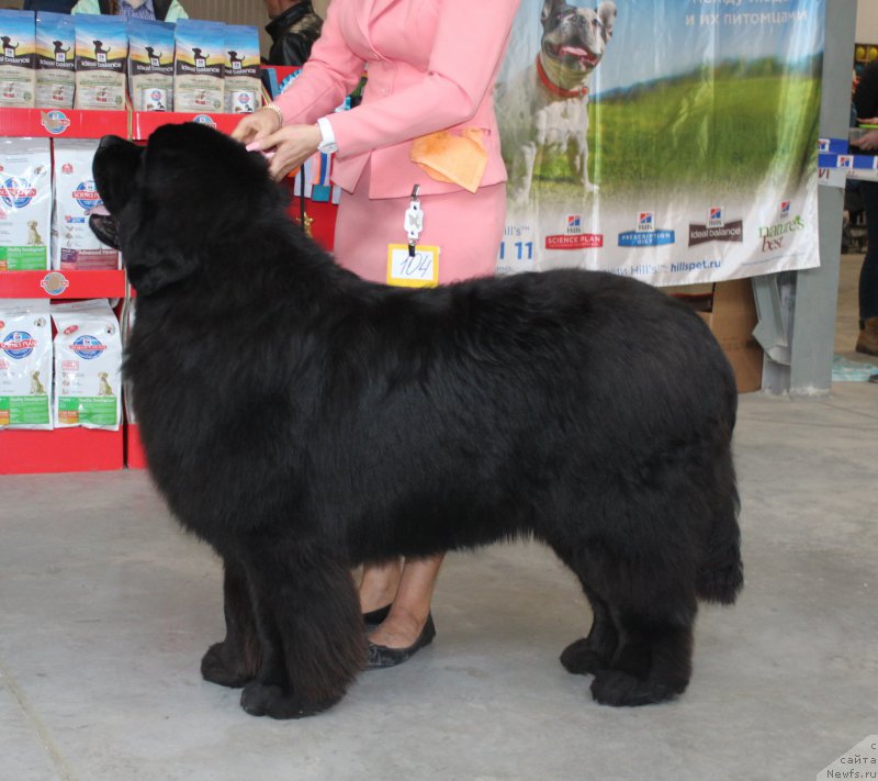 Фотография № 223761