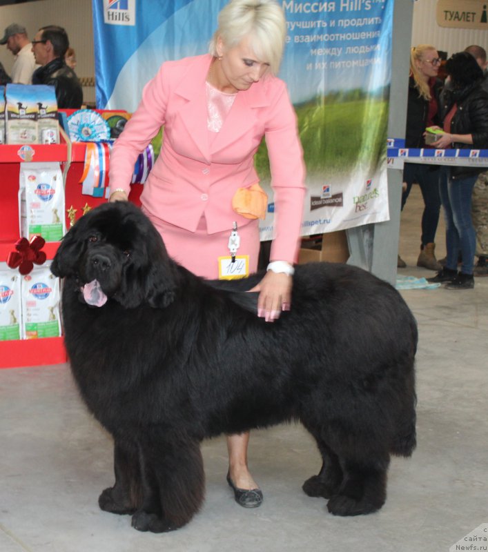 Фотография № 223762