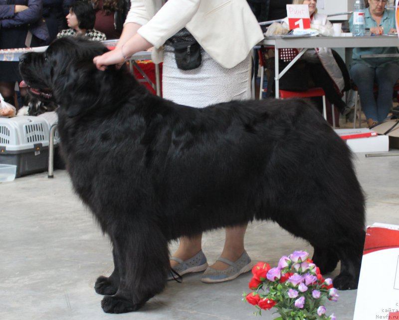 Фотография № 223781