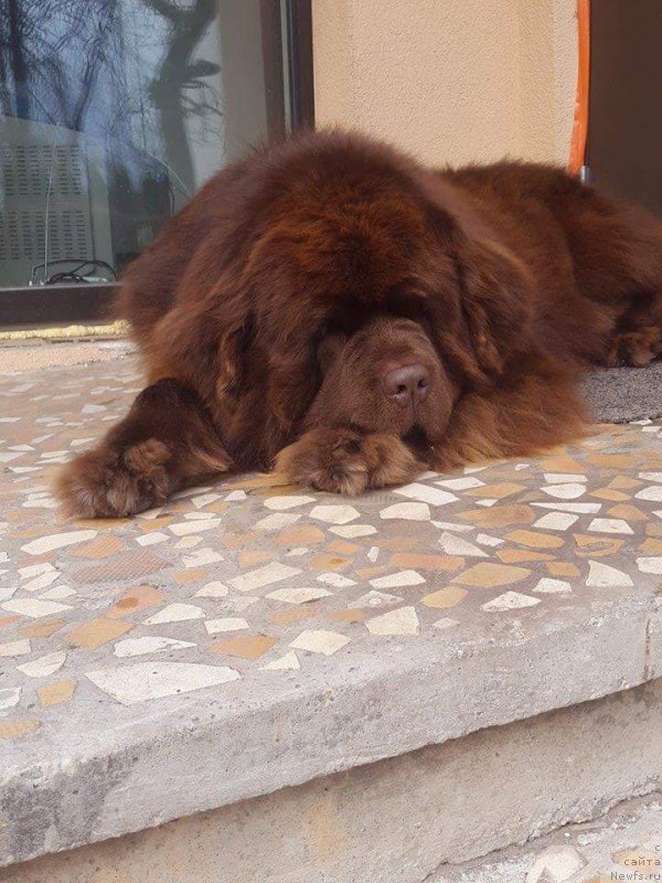 Фотография № 223797