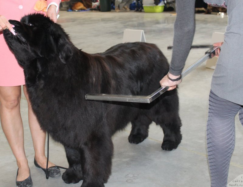 Фотография № 223800