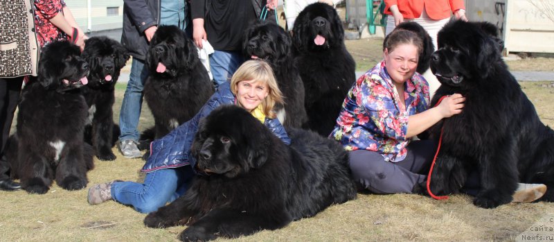 Фотография № 223801