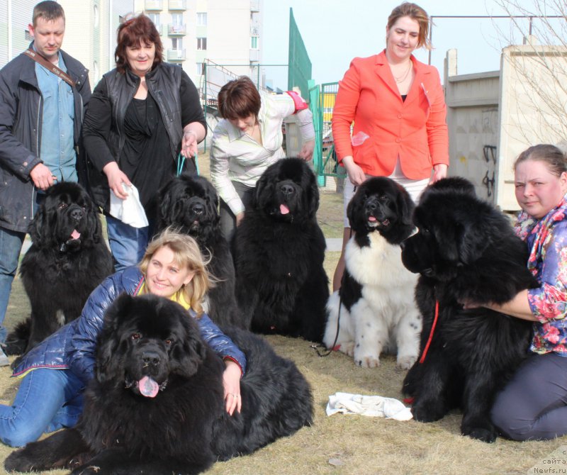 Фотография № 223810