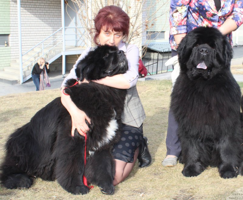 Фотография № 223811