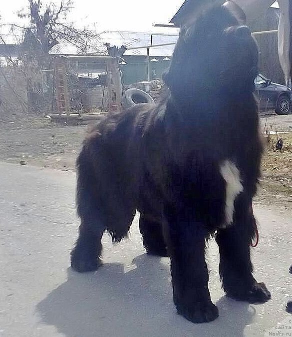 Фотография № 223816