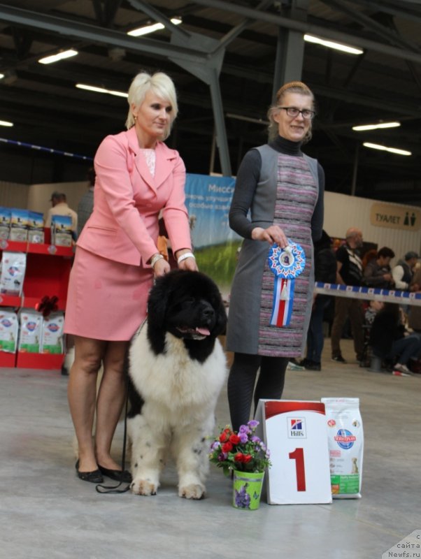 Фотография № 223863