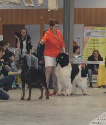 Фотография № 223866