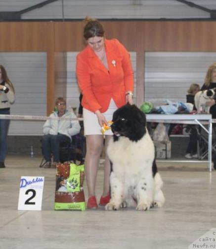 Фотография № 223867