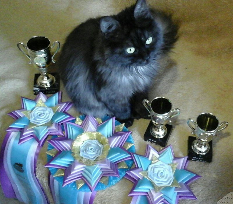 Фото: Лада Моя Камчатская Легенда.