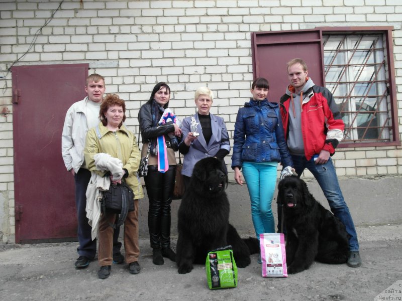 Фото: ньюфаундленд Черный Балу Лорд-Канцлер (Cherniy Balu Lord-Kantsler), Екатерина Иванова, Татьяна Чернявская, ньюфаундленд Черный Балу Ипполит Денович