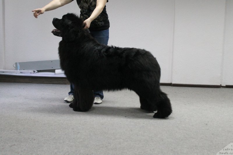 Фотография № 223879