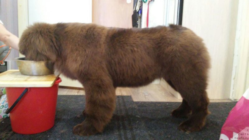 Фотография № 223900