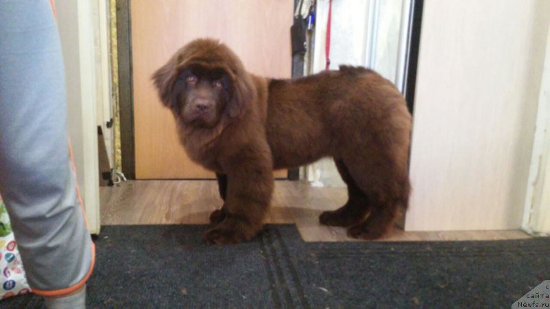 Фотография № 223901