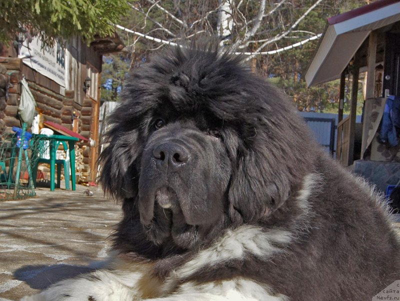 Фотография № 223904