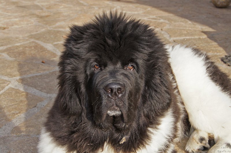 Фотография № 223905