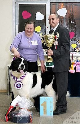 Фотография № 223906