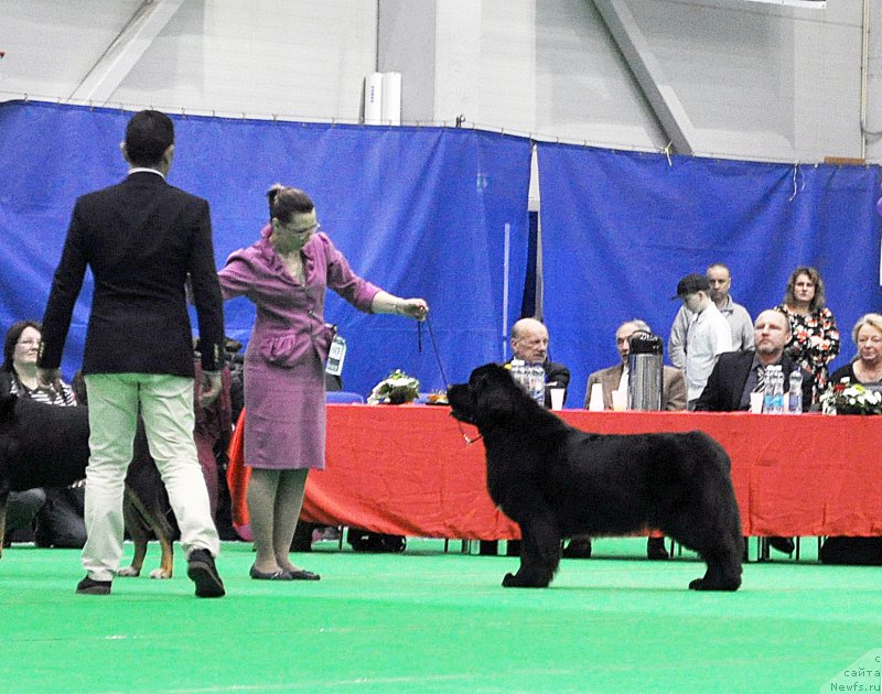 Фотография № 223909