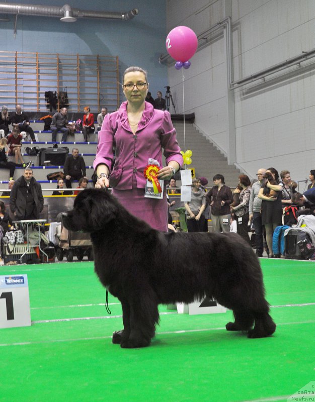 Фотография № 223912