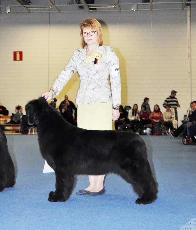 Фотография № 223913