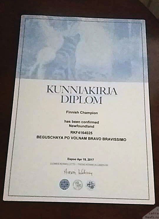 Фотография № 223915