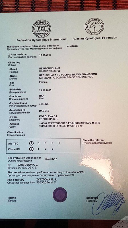 Фотография № 223916