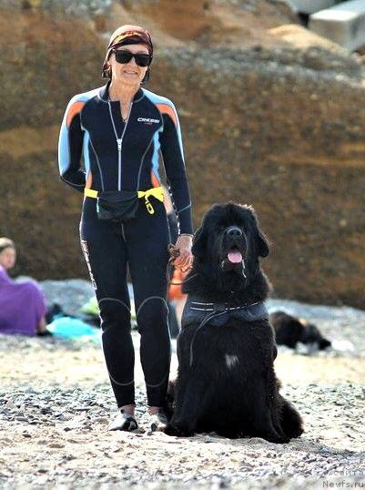 Фотография № 223919