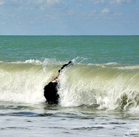 Фотография № 223921