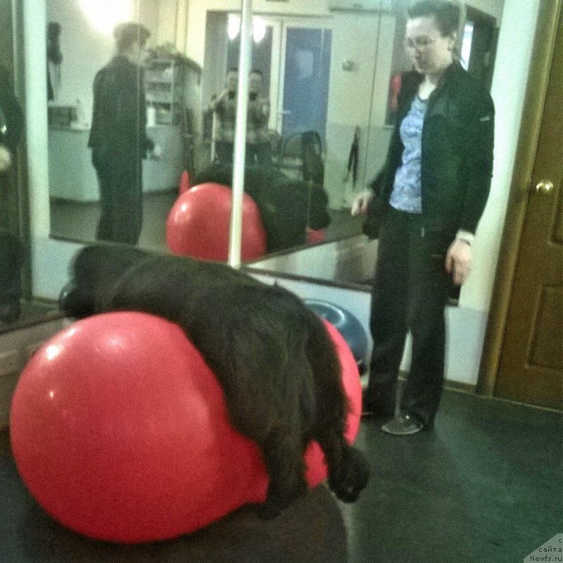 Фотография № 223924