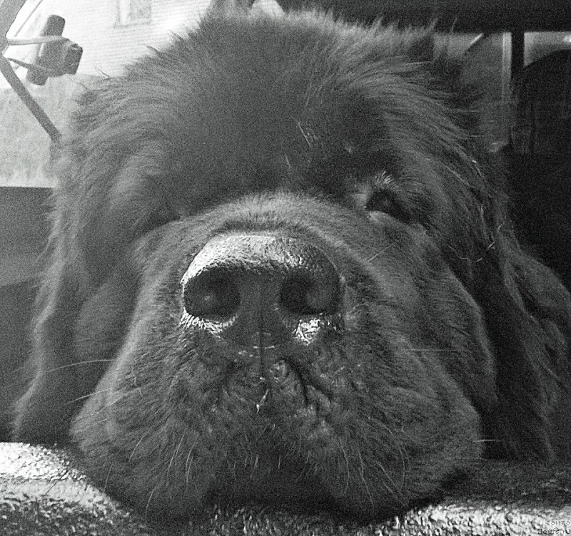 Фотография № 223930