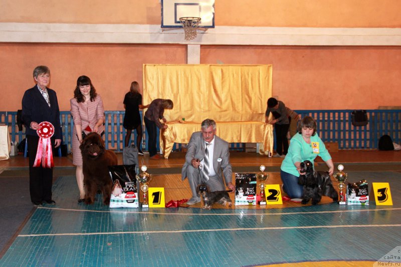 Фотография № 223937