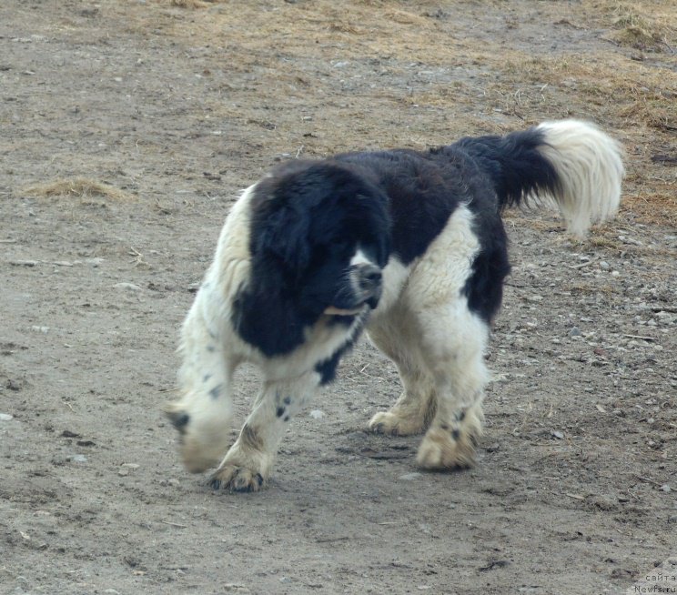 Фотография № 223940