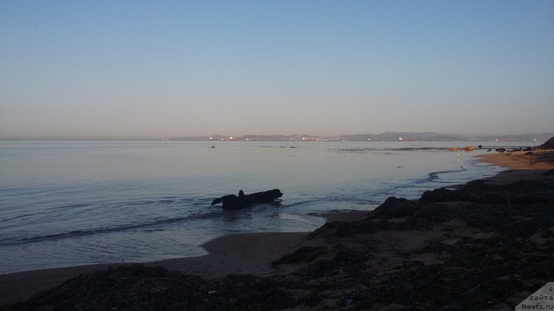 Фотография № 223944