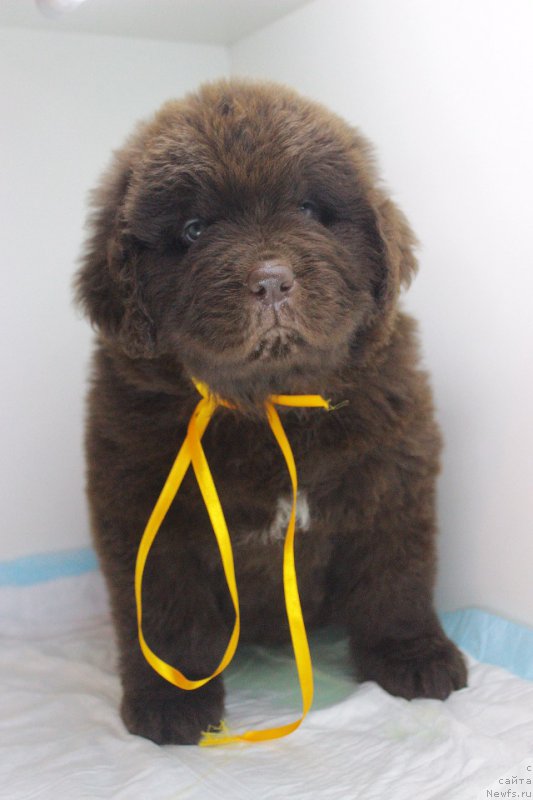 Фотография № 224001