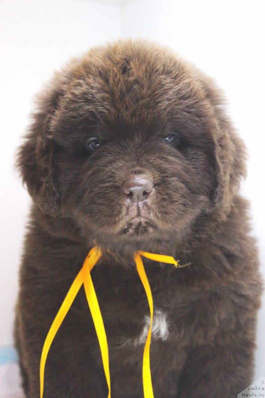 Фотография № 224002