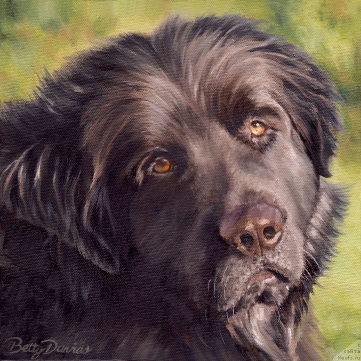 Фотография № 224018