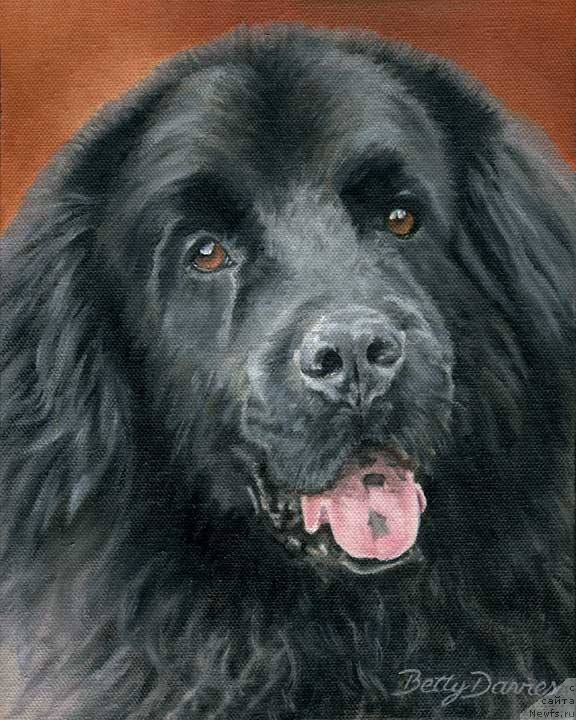 Фотография № 224019