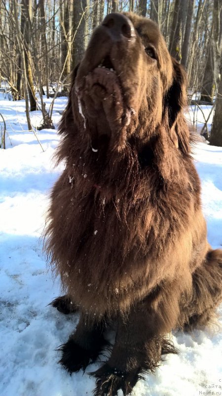 Фотография № 224029