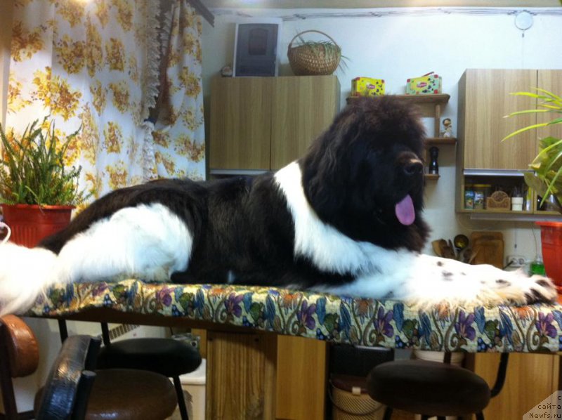 Фотография № 224034