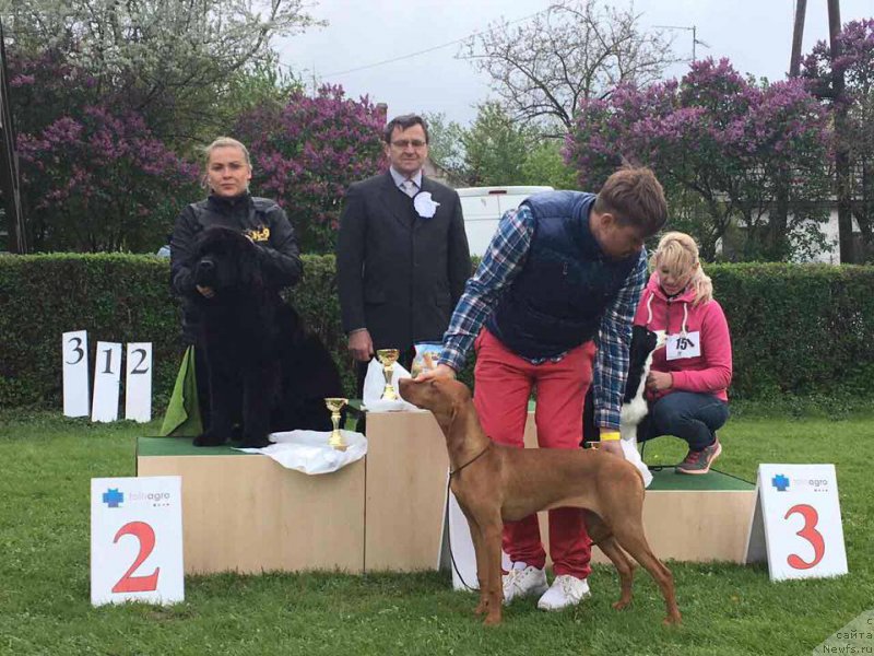 Фотография № 224054