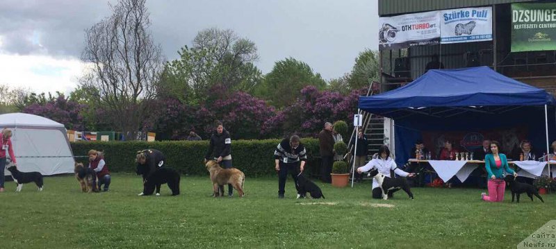 Фотография № 224056