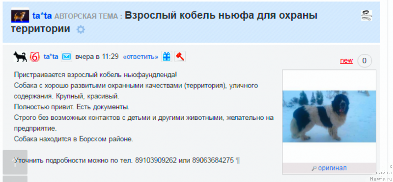 Фотография № 224065