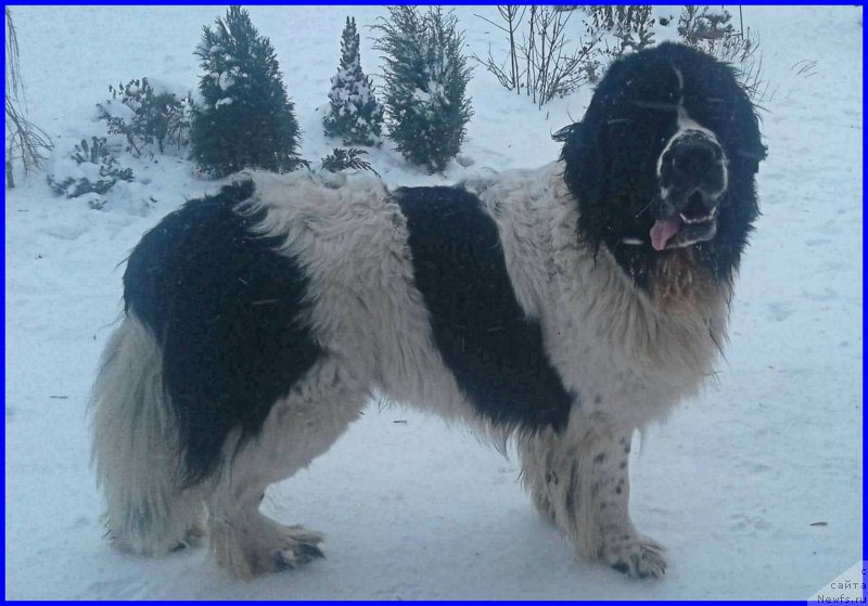 Фотография № 224066