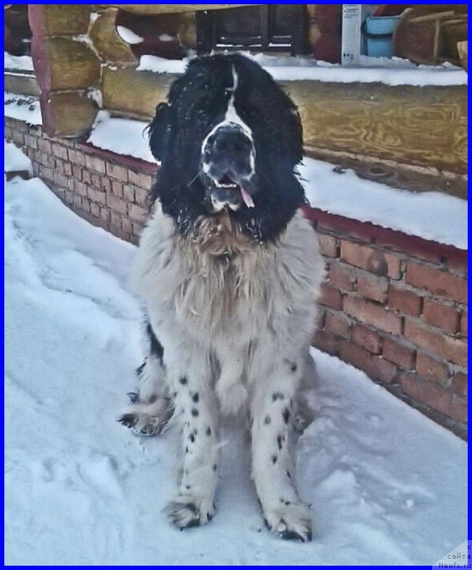 Фотография № 224067