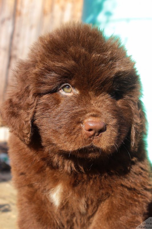 Фотография № 224080