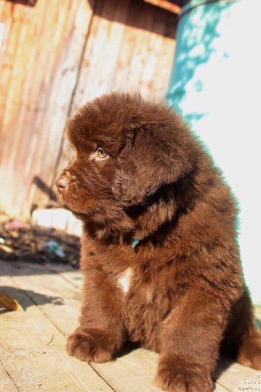 Фотография № 224081