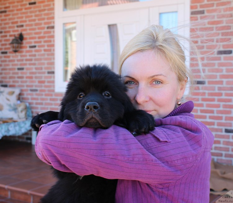 Фото: Halisa Sozvezdie Istini