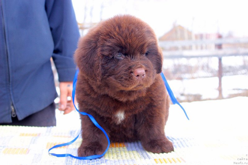 Фотография № 224101