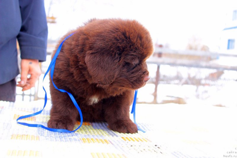 Фотография № 224102