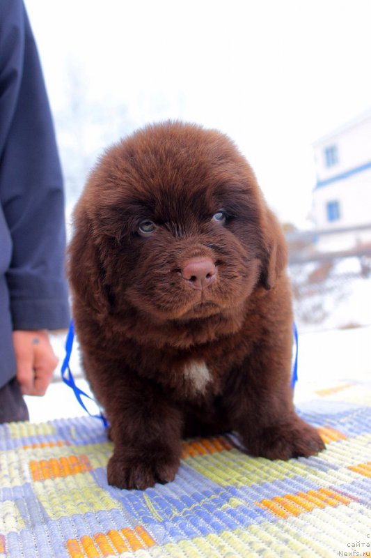 Фотография № 224103